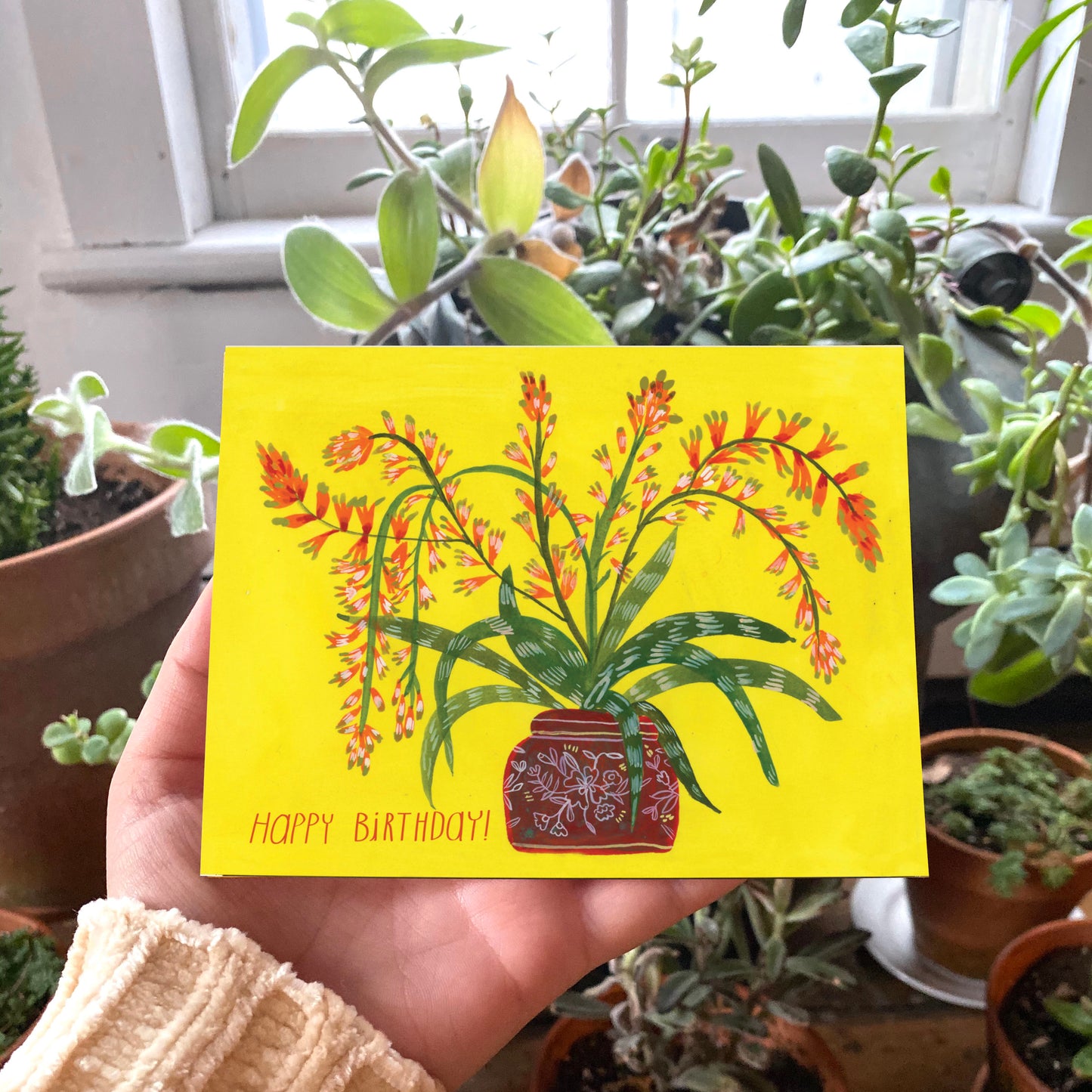 Happy Birthday Cactus